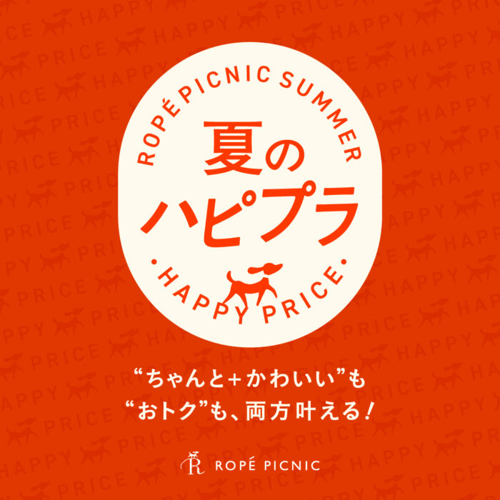 夏のハピプラ “ちゃんと＋かわいい”も“おトク”も、両方叶える！