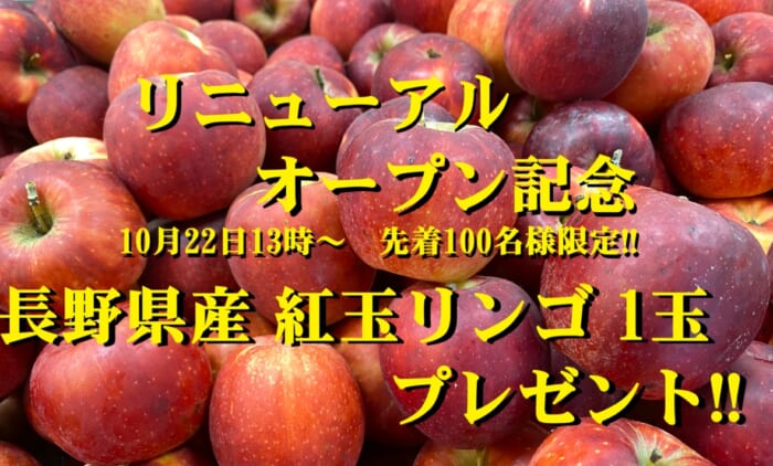 unmma japan リニューアルオープン記念🎉
